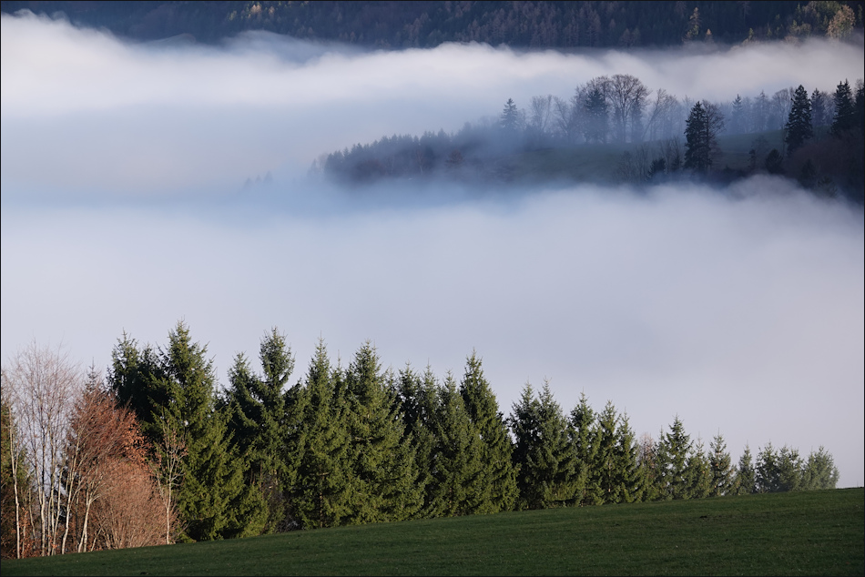 ���������� ��� �������