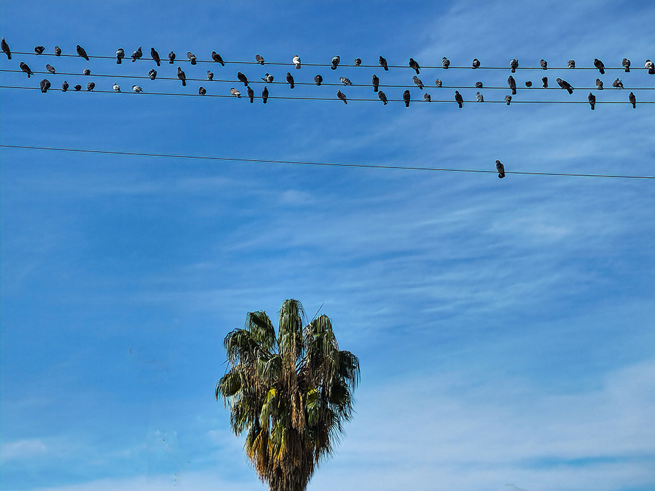 ���������� �����