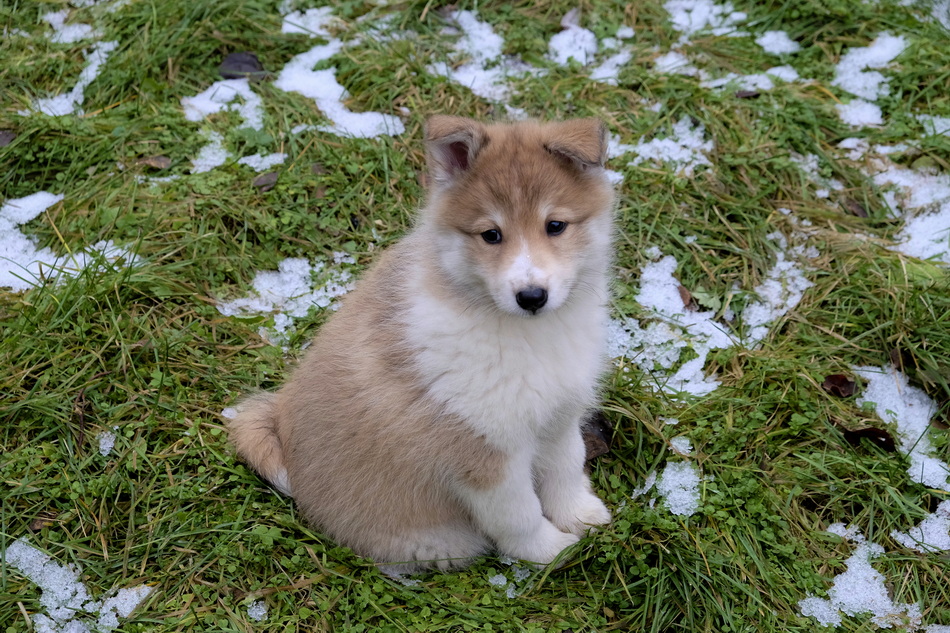 ���������� ����� ����...