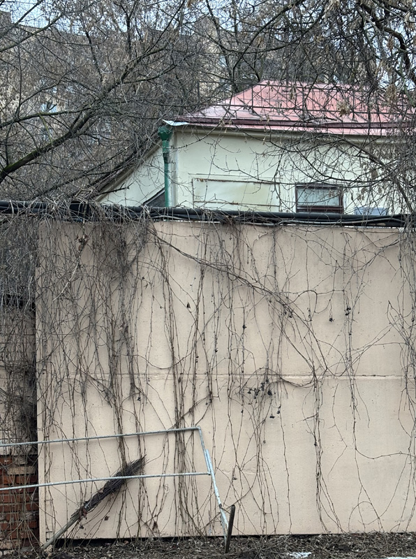 ���������� � ������ )