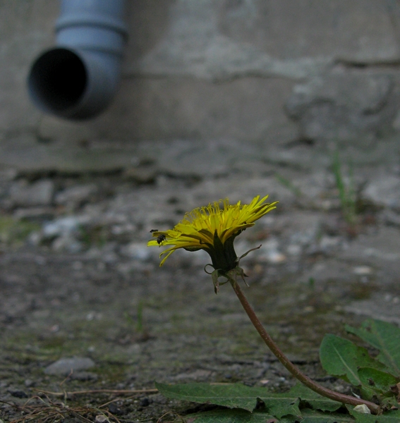 ���������� .