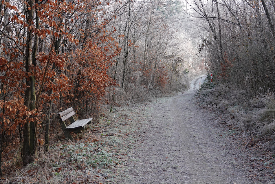 ���������� ����0546