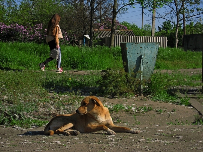 ���������� .