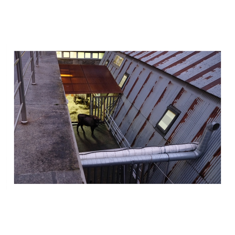 ���������� ������������� ����