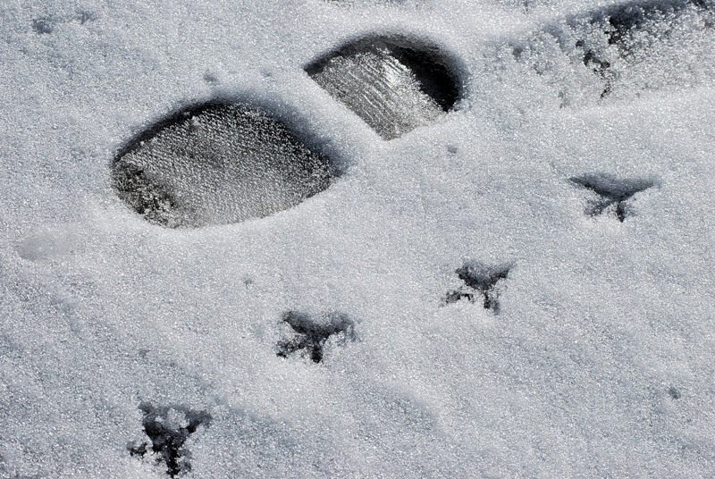 ���������� 358218