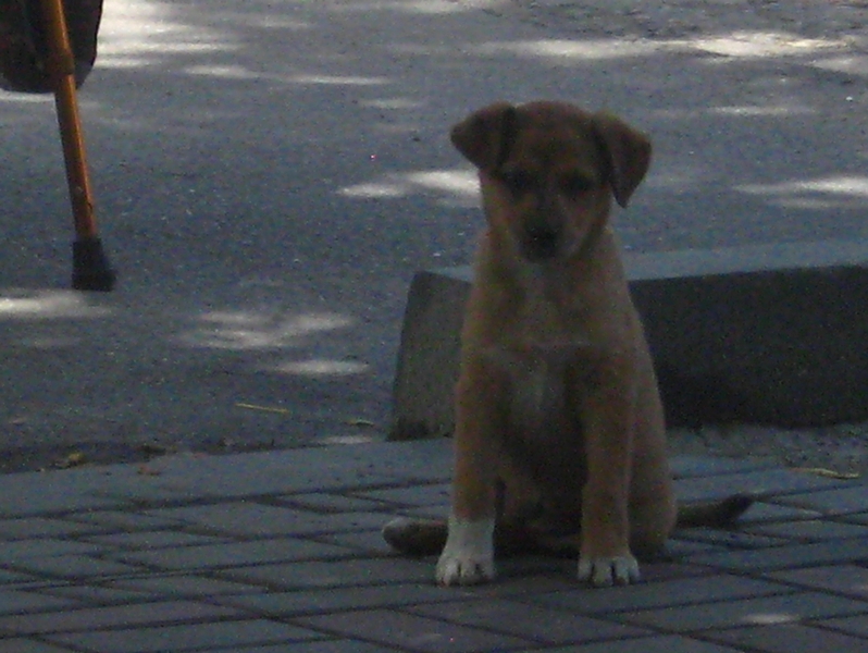 ���������� .