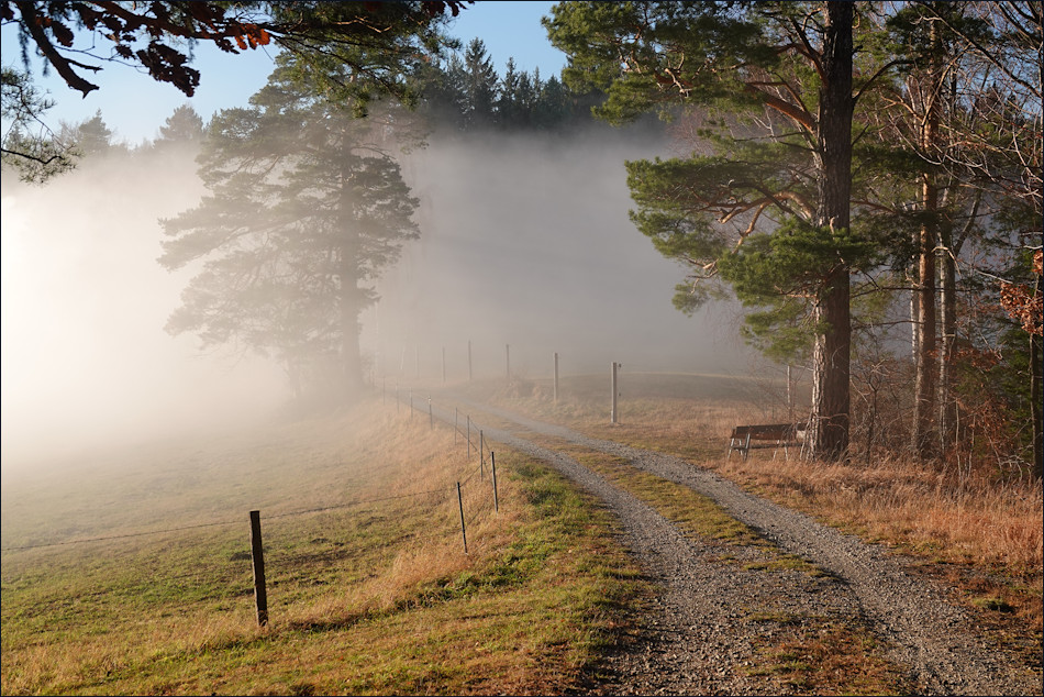 ���������� ����0547