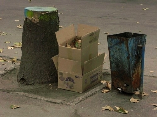 ���������� .