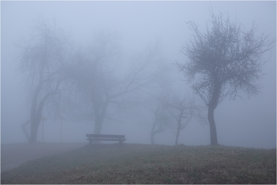 ���������� ����0549