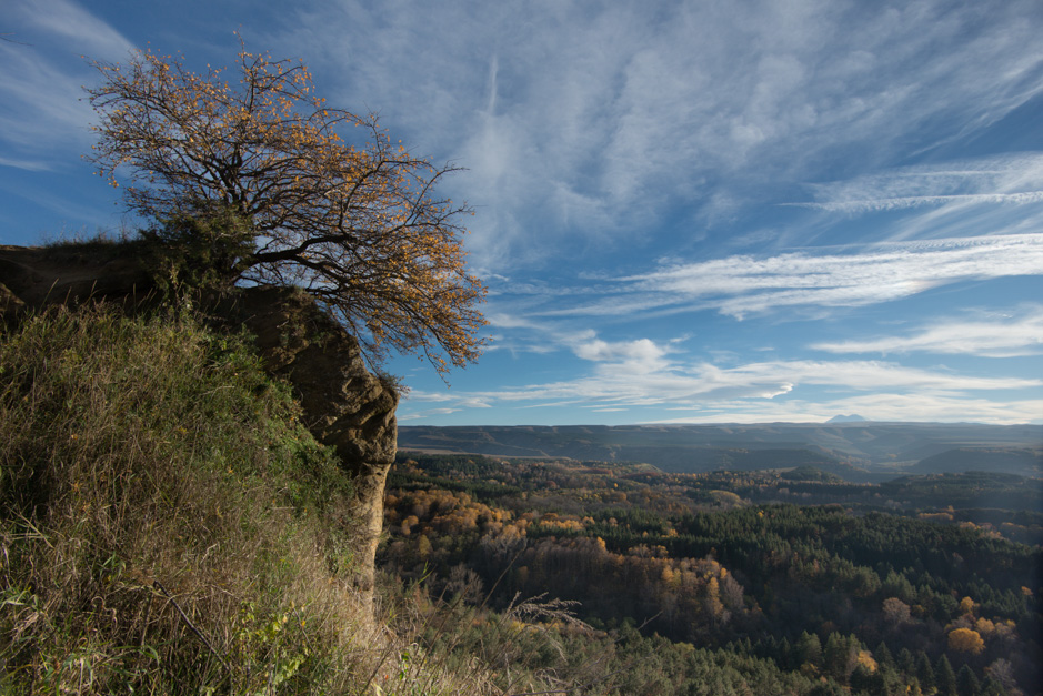 ���������� ��� ���� �� ������