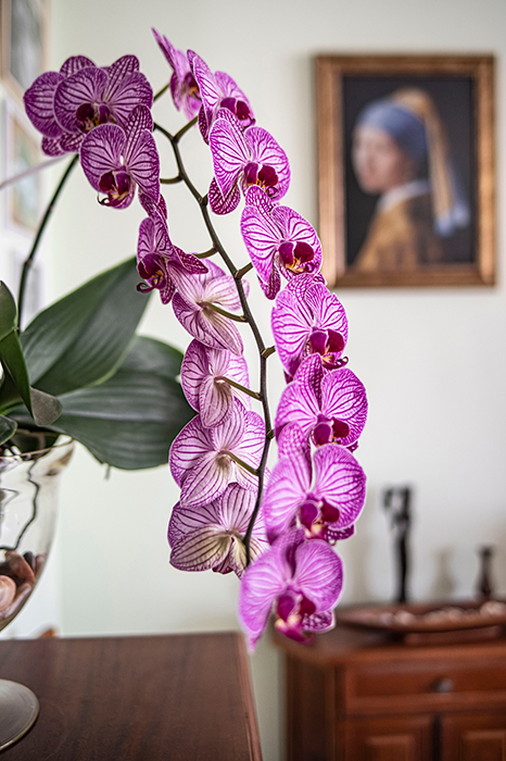 ���������� � �����������!