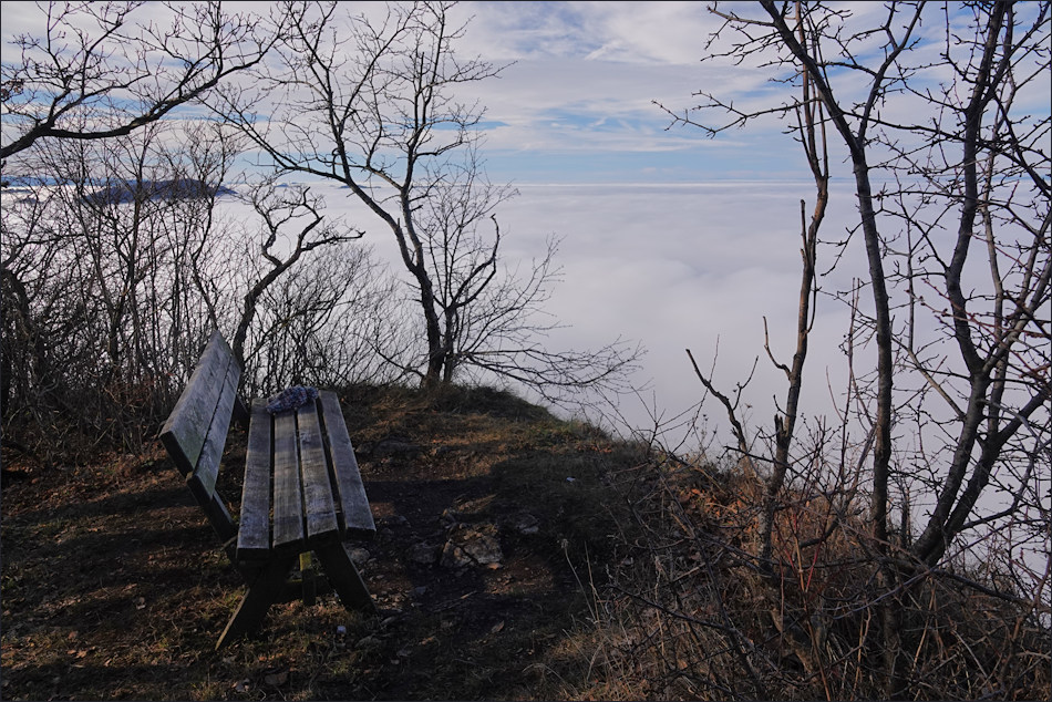 ���������� ����0550