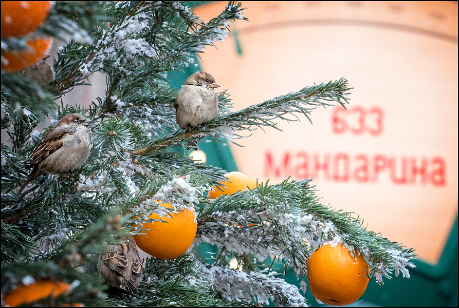 ���������� � ����������� ����� �����!