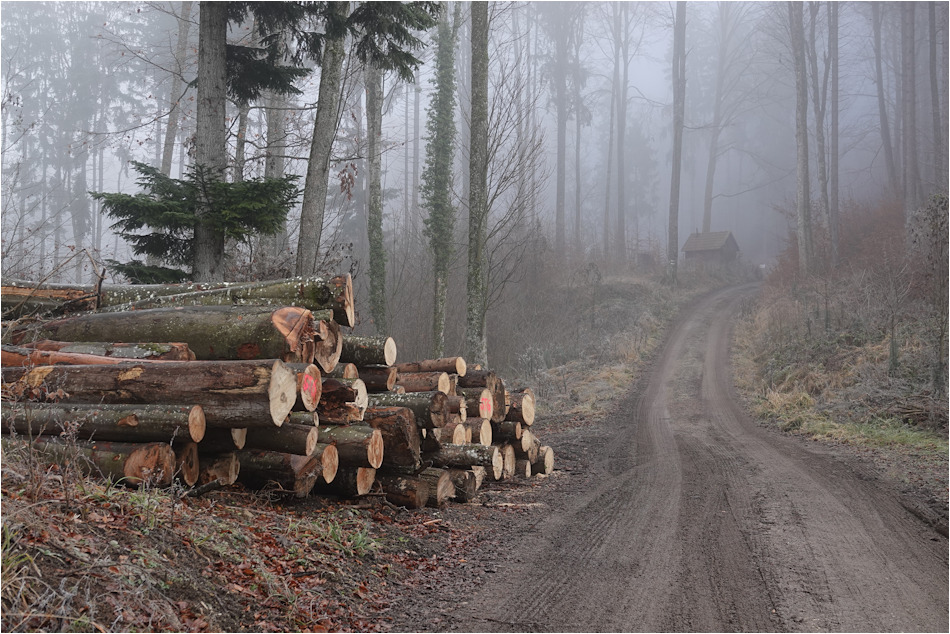 ���������� �ң���