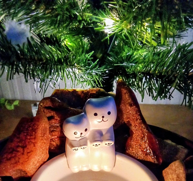 ���������� � �����������!