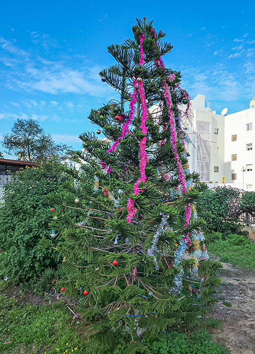 ���������� � ��� �� ������ 