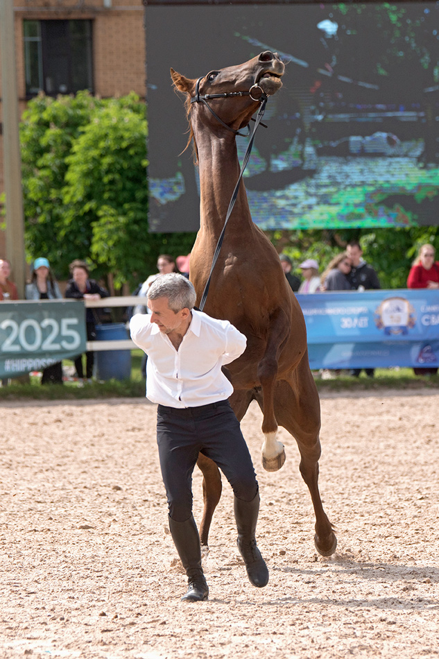 ���������� �� �� ����� ���������:-)