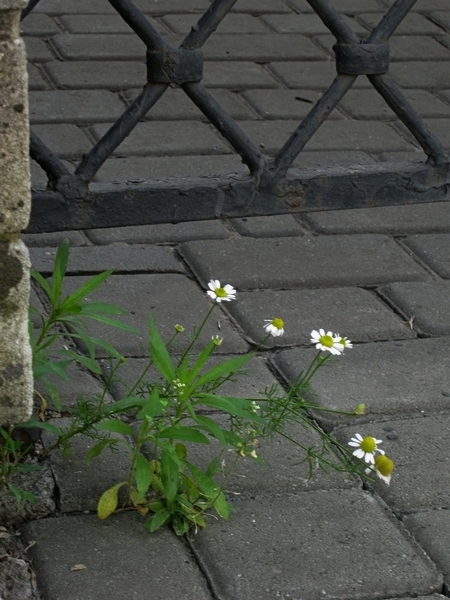 ���������� .