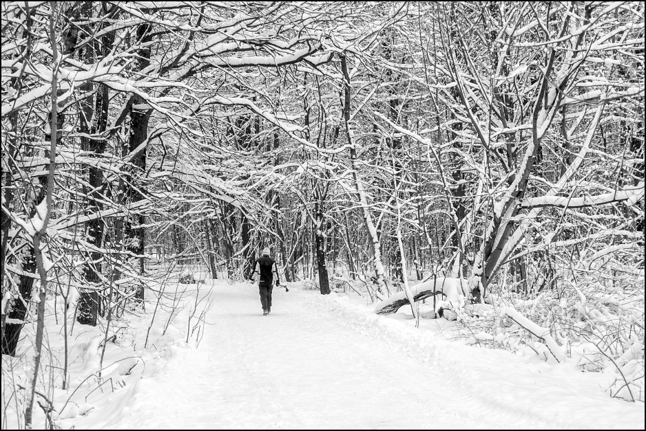 ���������� ���� ������� ����