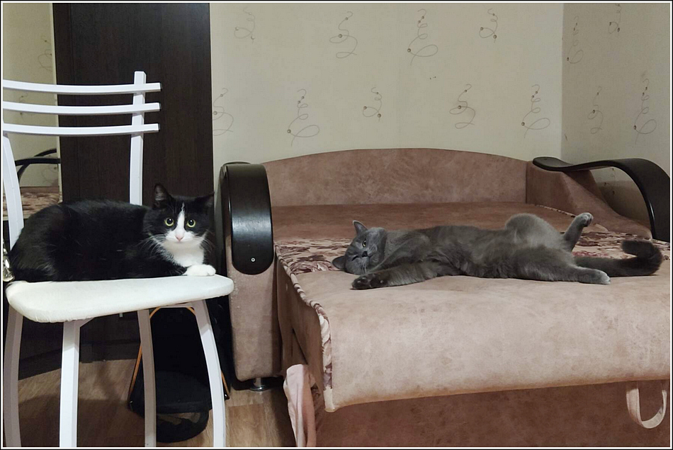 ���������� �����������...