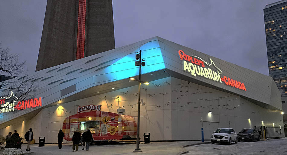 ���������� �����