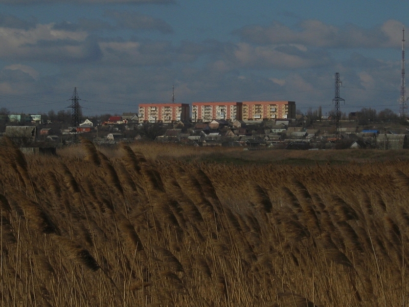 ���������� .