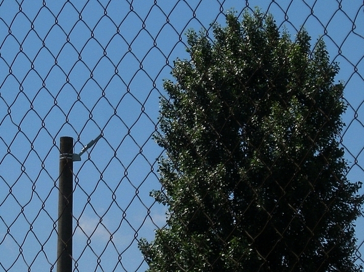 ���������� .