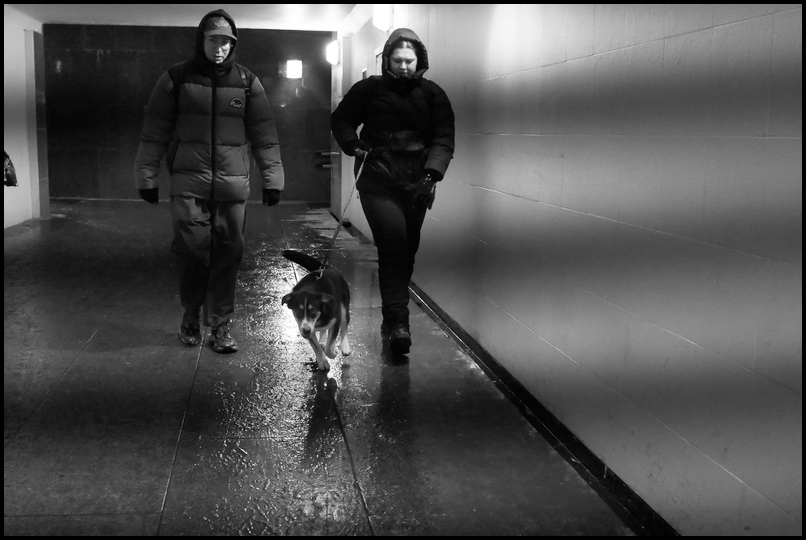 ���������� ��̣��� �����.