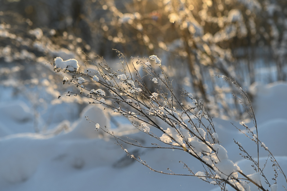 ���������� ������ ����-2