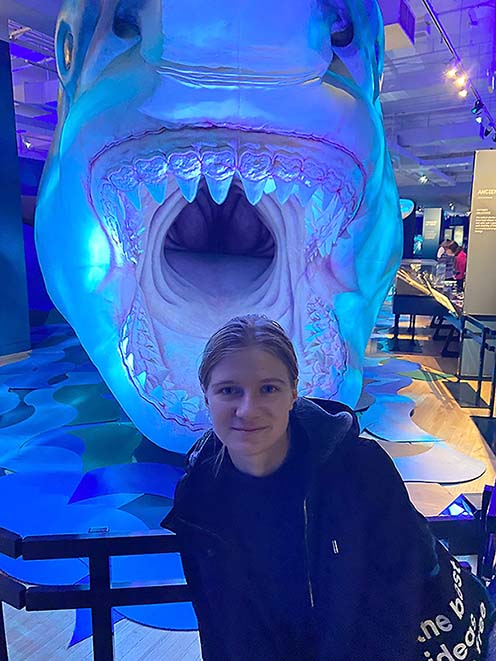 ���������� � ����� ROM