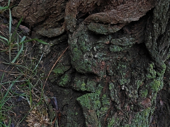 ���������� .