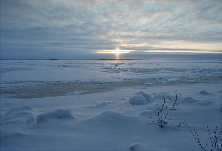 ���������� �������� �� ������