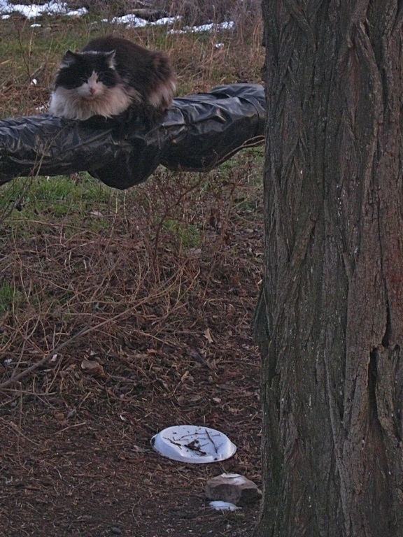 ���������� .