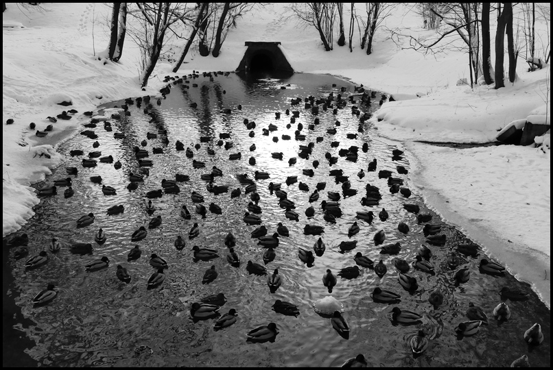 ���������� ���� ������� ������..