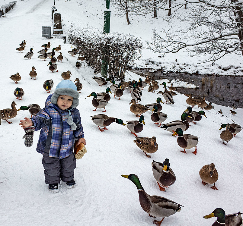 ���������� ��������