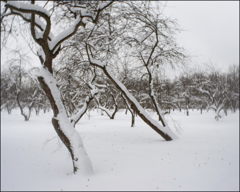 ���������� ����� ���������