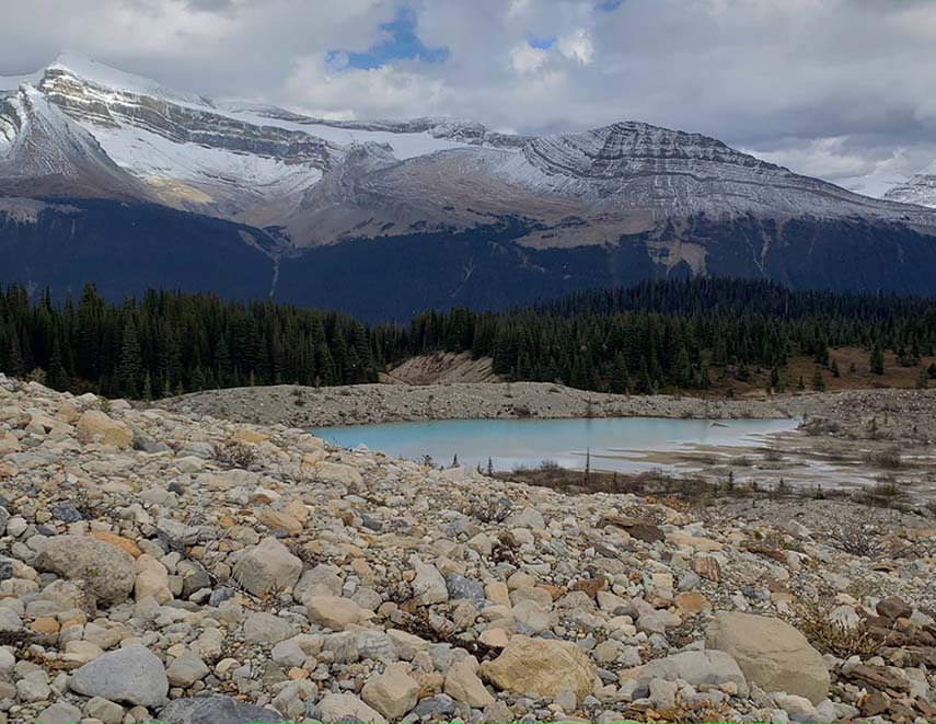 ���������� ��������