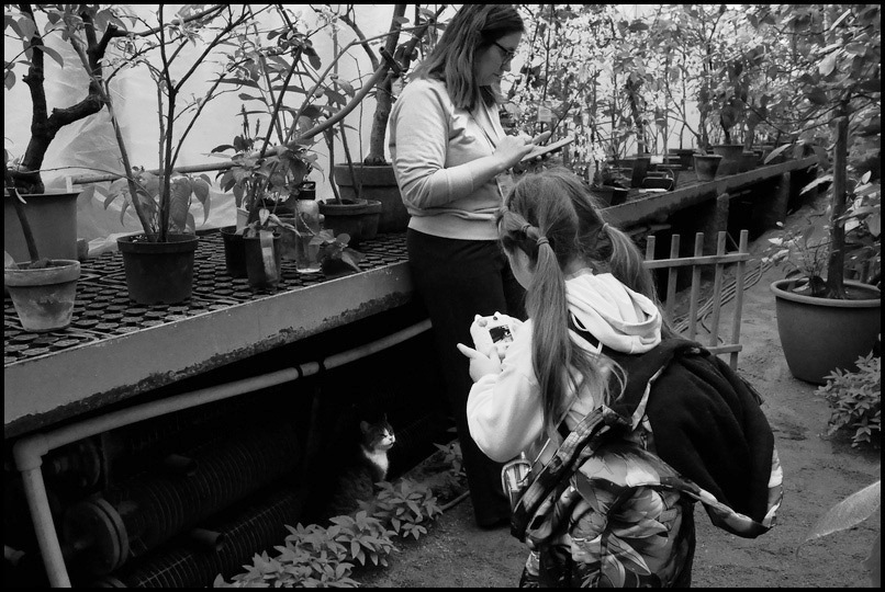 ���������� �����������.