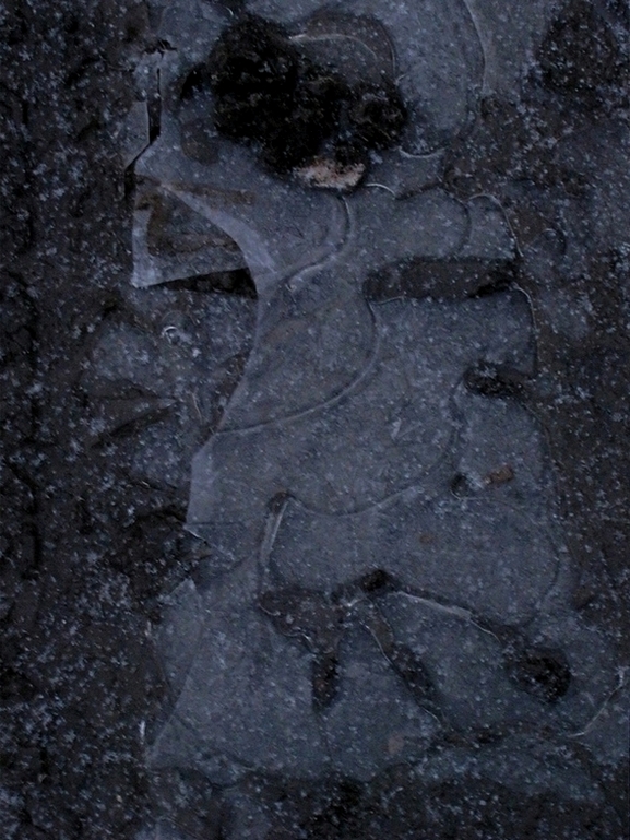 ���������� .