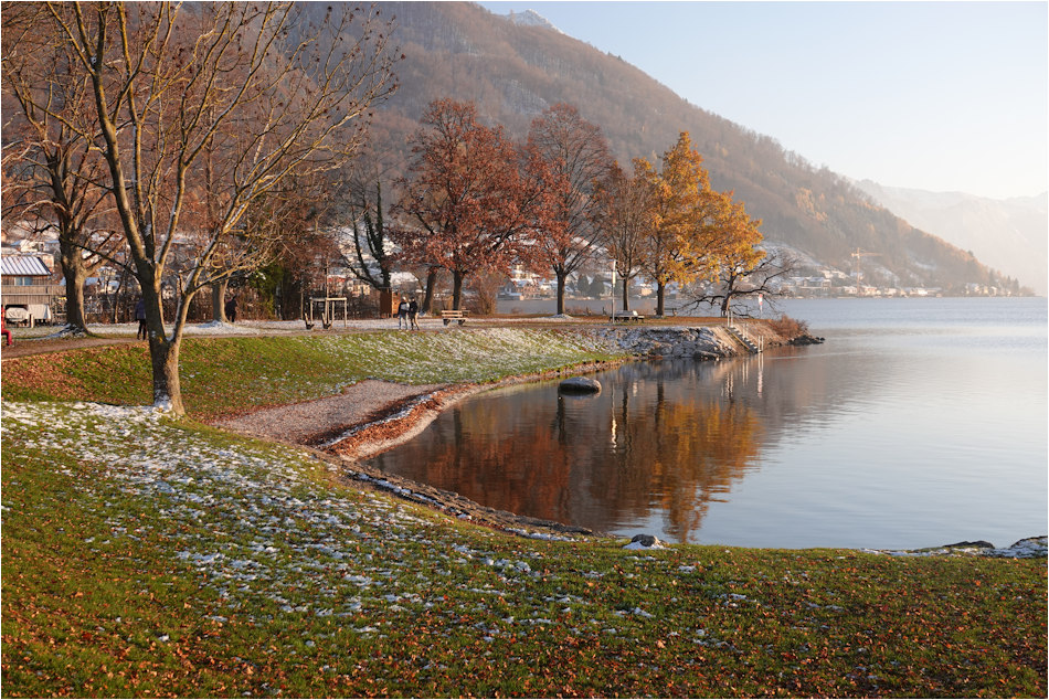 ���������� ��������