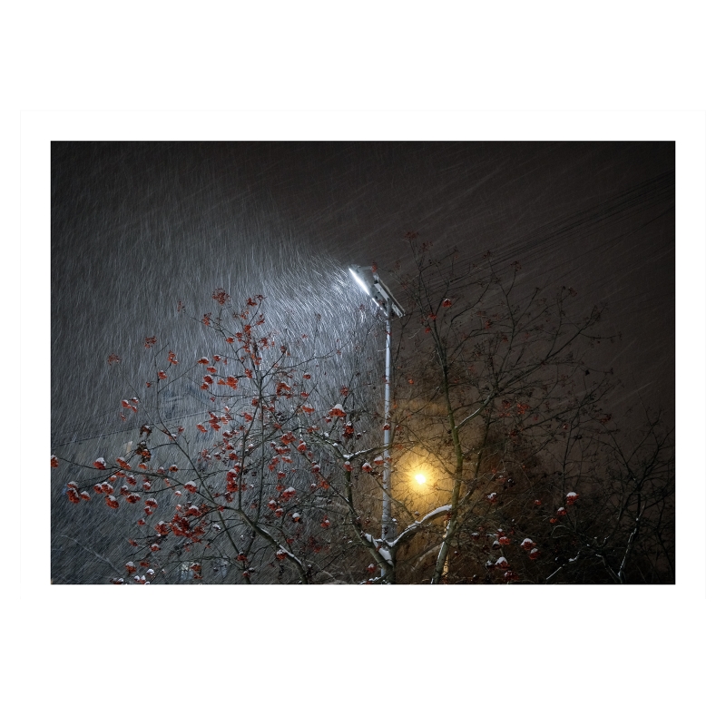 ���������� ������ ������