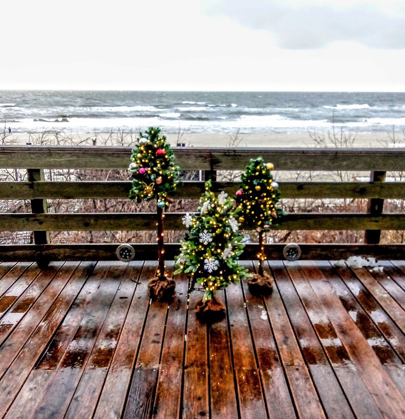 ���������� � ��������� �����������!