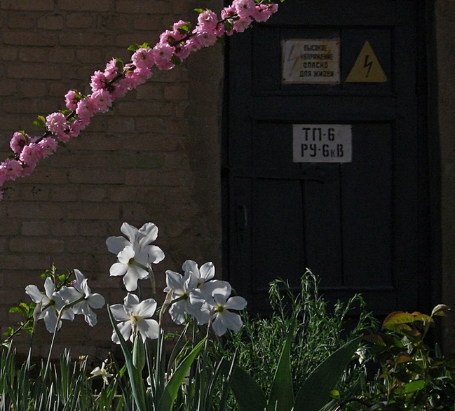 ���������� .