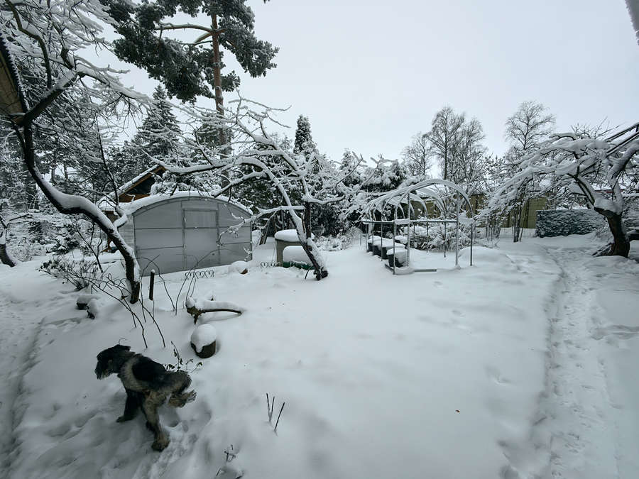 ���������� ***