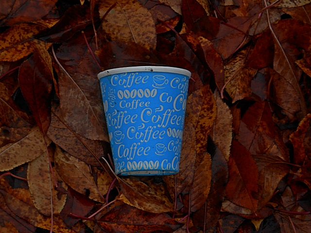 ���������� .