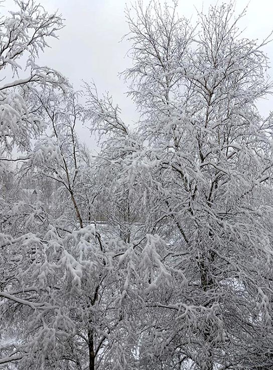 ���������� ����Σ���� - � ������