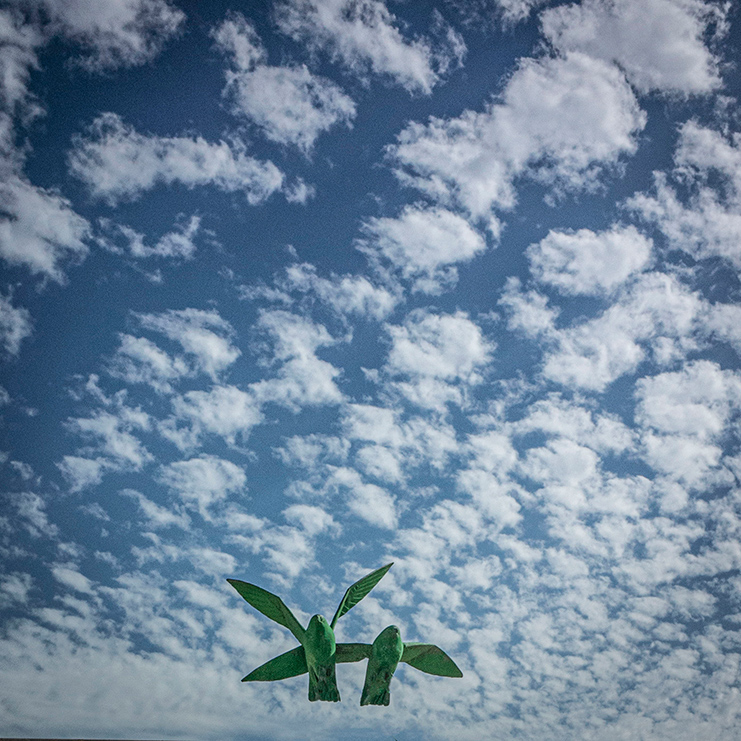 ���������� ����� ����̣���� ...