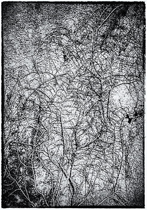 ���������� �������