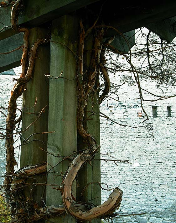 ���������� ***