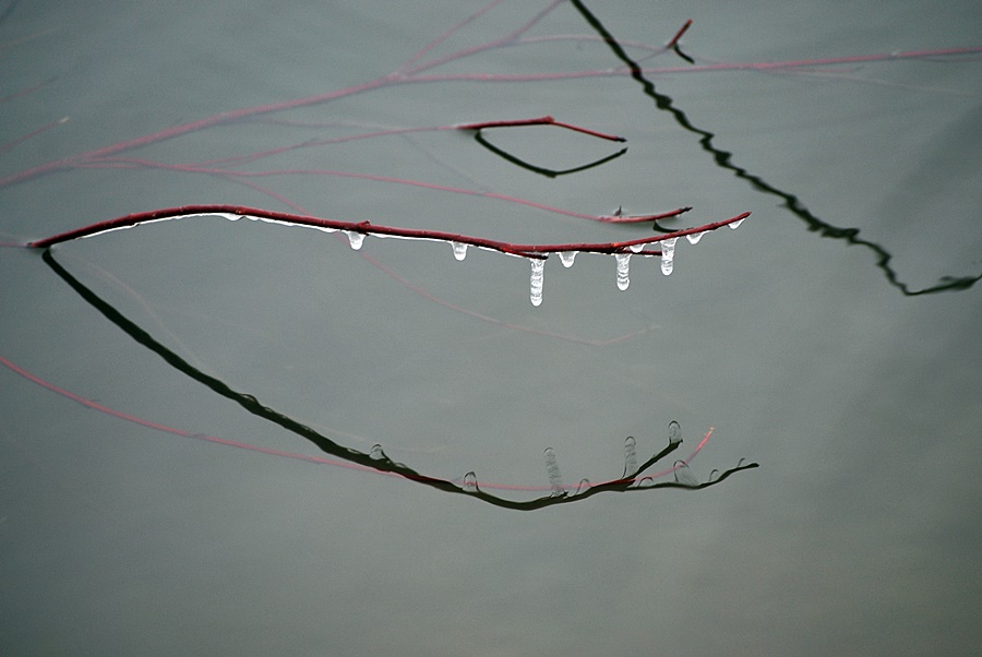 ���������� ***